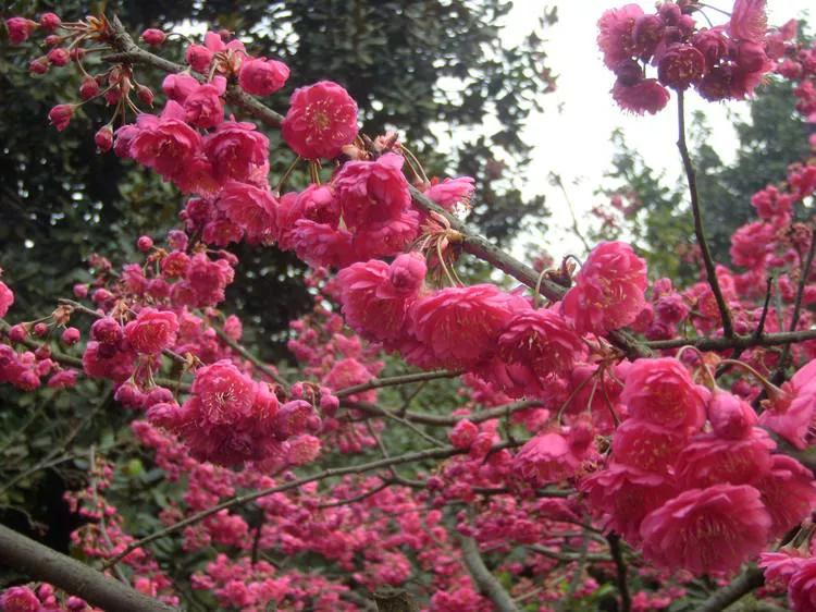 三明大金湖导游词400字,大金湖的景区导游介绍