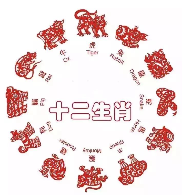 猪年戴什么好运,狗年今年佩戴什么手串