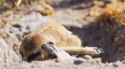 豆瓣评分9.5以上的国产电影有哪些,十部顶级神片推荐