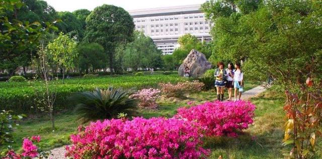 广西大学是广西唯一的211吗,广西大学211就业