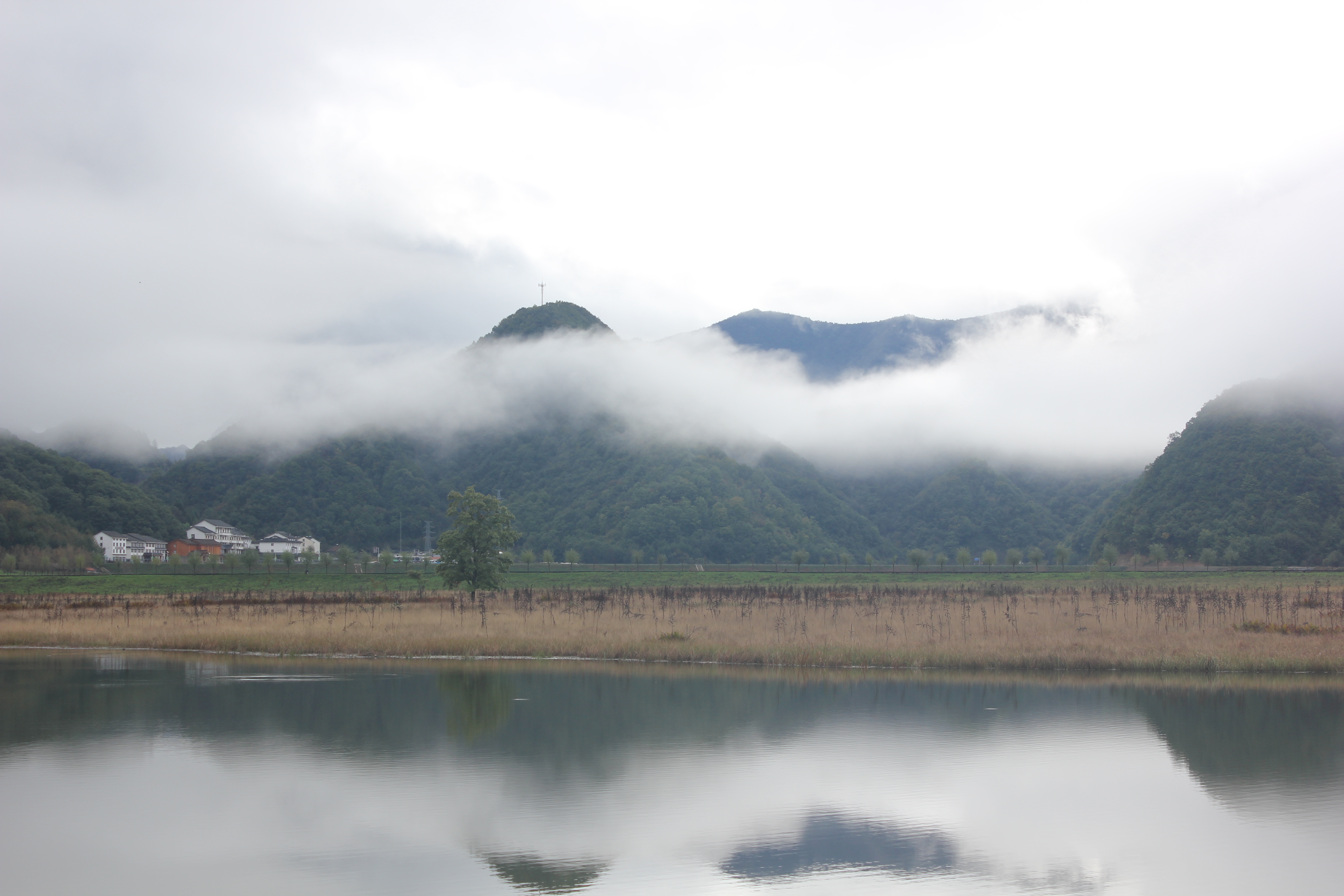 雨中神农架探秘之旅｜国庆节武汉至神农架自驾游攻略分享