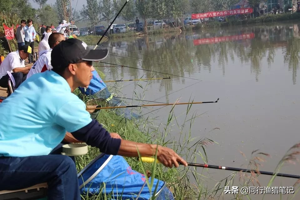 四种预防方法,四种扑救措施——轻松应对鱼竿拔节问题