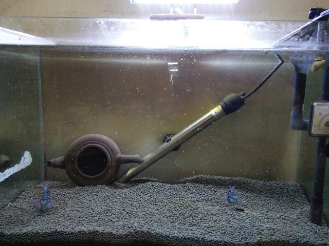 鱼缸出现大量小气泡,鱼缸里出现气泡是什么原因