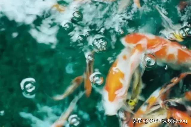 如此才华横溢的打油诗,如此才华横溢