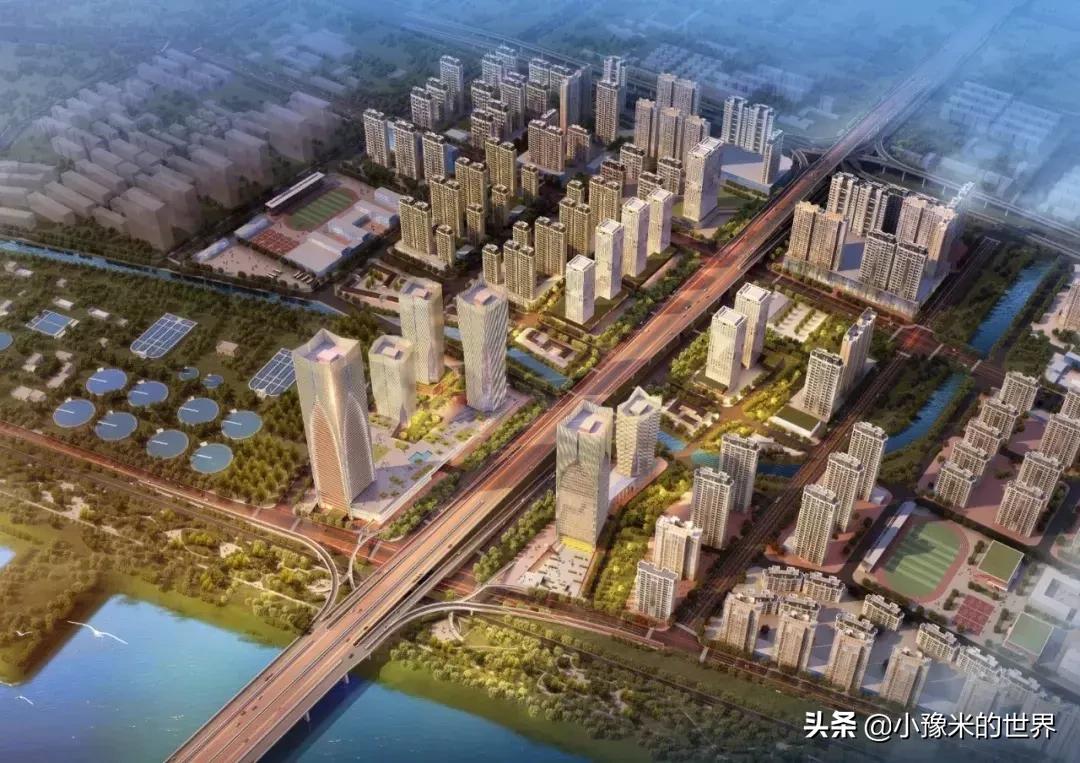 河南洛阳发布最新通知,洛阳牡丹花会向全世界发出邀请