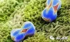 神话里有哪些神仙出现,神话中的神仙突然消失