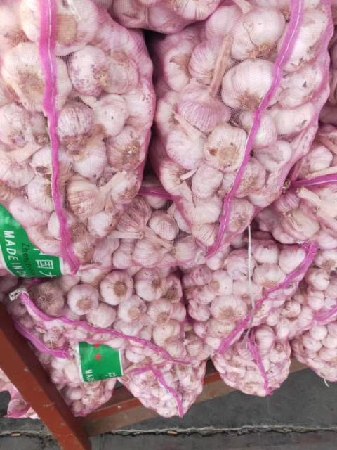 2020蒜苔行情预计大蒜多少钱一斤,2023年大蒜价格最新行情走势