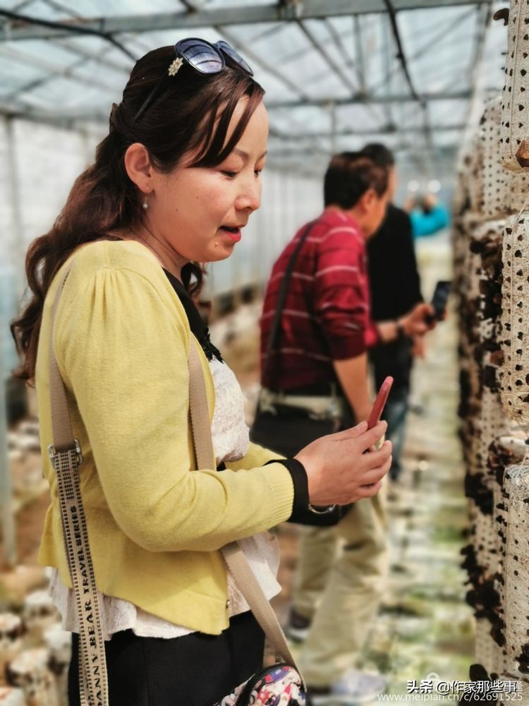 赴一场槐花的邀约——宝鸡作家赴扶风野河山采风