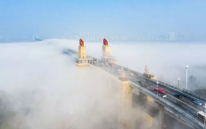 城市中难得的田园风景,城市难得一见的视频