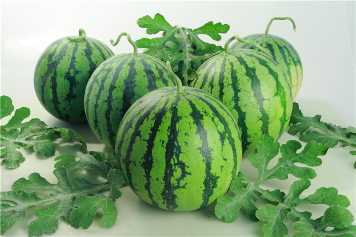 西瓜根腐病死苗该咋办,西瓜根腐病早期症状