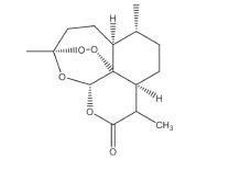 背它！考前必看82个易错考点