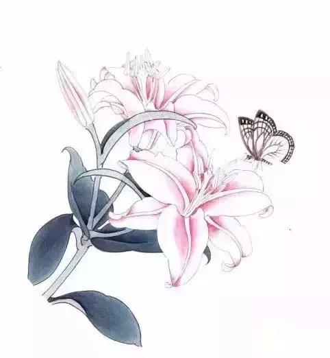 工笔百合花朵设色步骤,工笔重彩油画百合