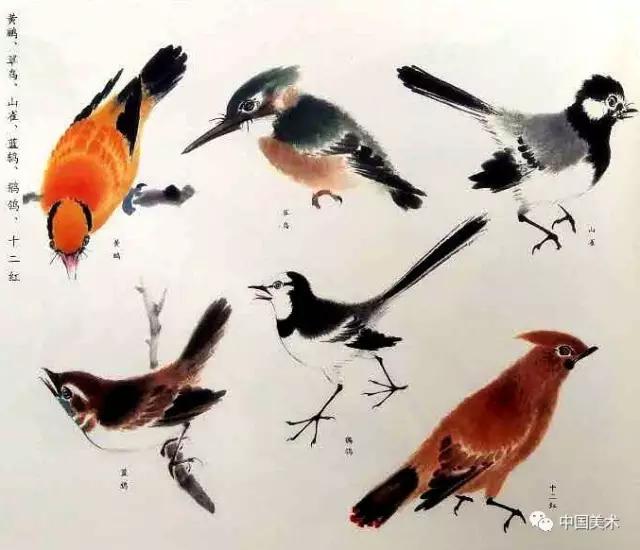 禽鸟画教程,最简单的禽鸟画法