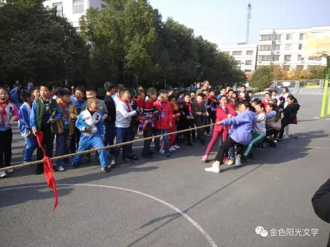 走进二维世界作文,二次作文