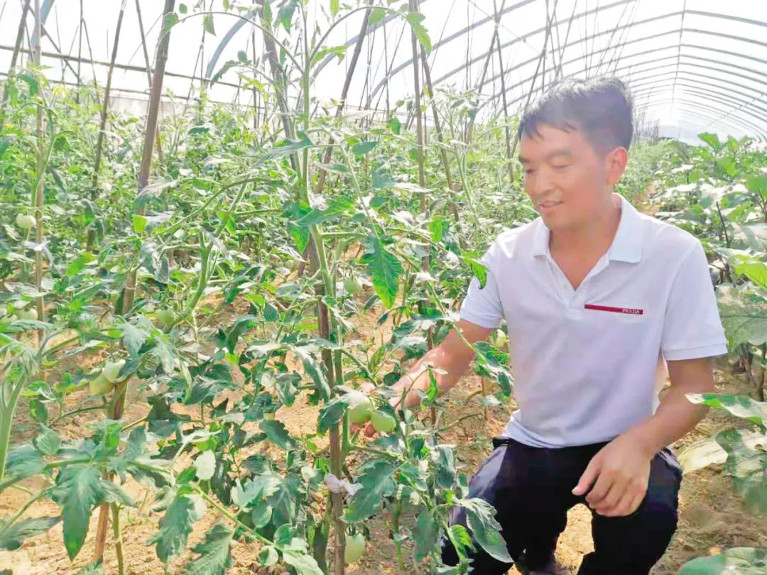 把诗和远方留在家里,把诗和远方藏在心里