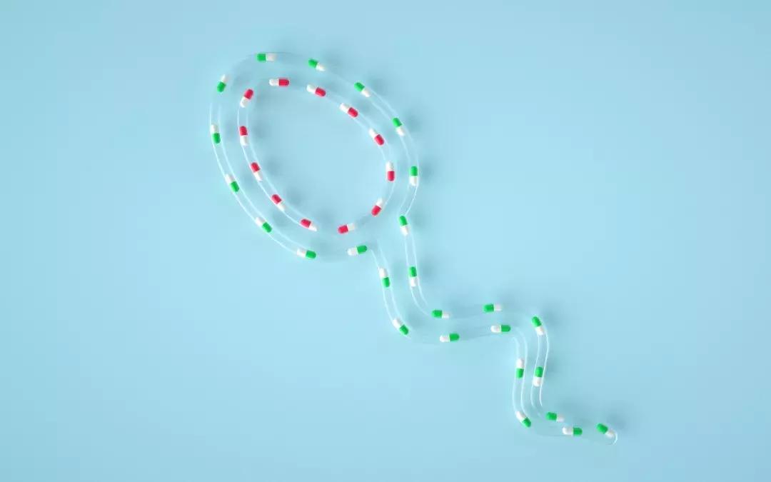 备孕对小蝌蚪好的菜,备孕期间怎样保证小蝌蚪的质量