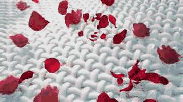 进口大牌洗衣液，天然酵素配方，顽固污渍轻松洗净，连香水都省了