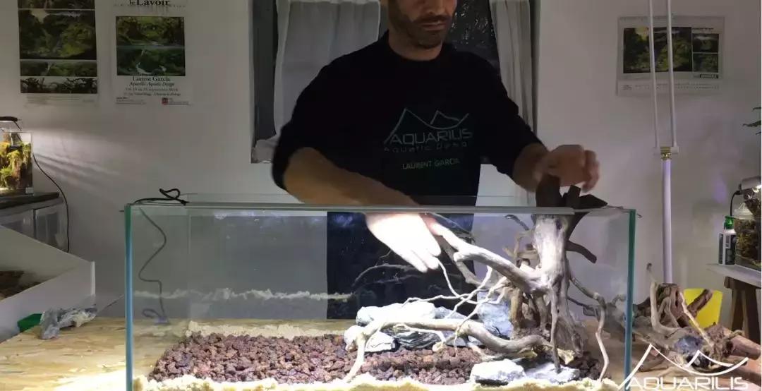 草缸造景教程：这个缸居然能装下一头“犀牛”？