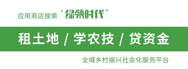 家庭农场有些什么优惠政策及补贴,襄阳家庭农场每亩地补贴多少
