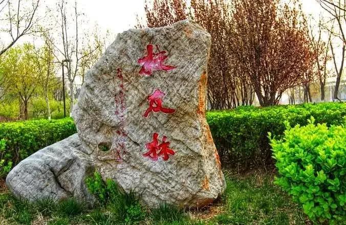 天津市普通高等院校（三）天津师范大学