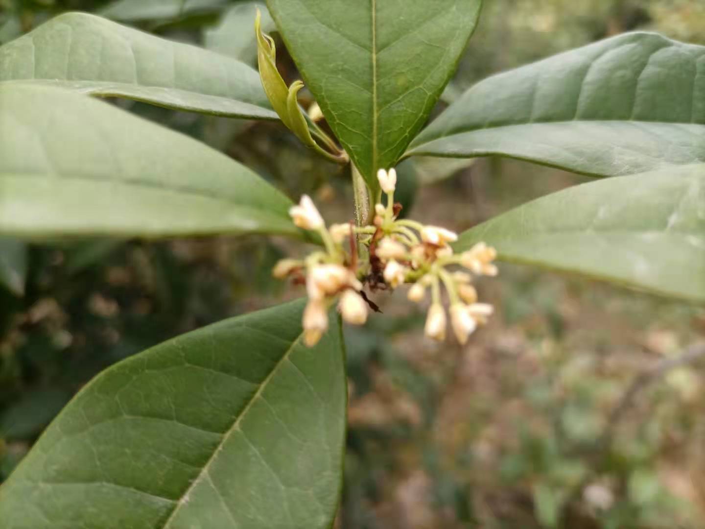 突破层级用什么方法,语文排序题秒杀技巧