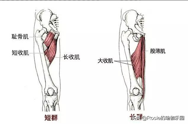 久坐臀两侧不舒服怎样练,臀平怎么练
