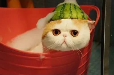 目前热水器哪一种最省钱最好用,选对一台好用热水器有多重要