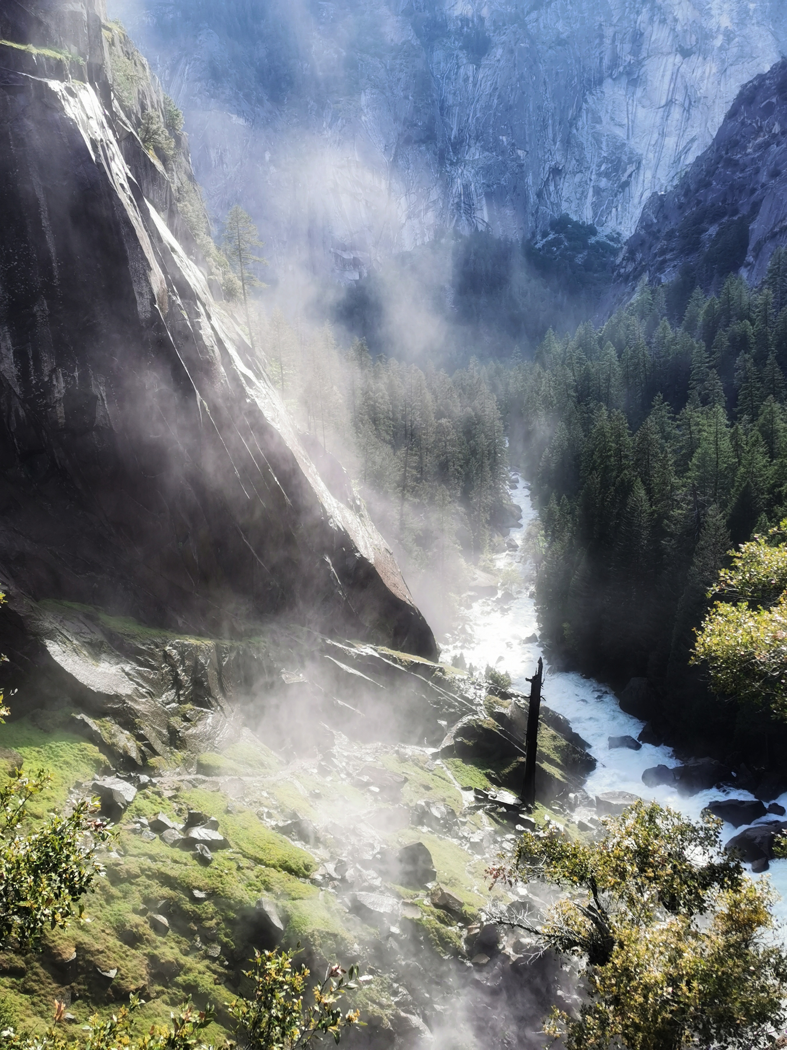 加利福尼亚优胜美地,美国旧金山优胜美地