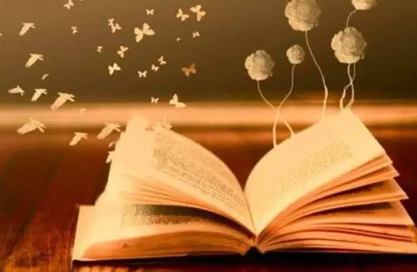 郑州市各区重点小学,郑州青少年素质教育建议收藏保存