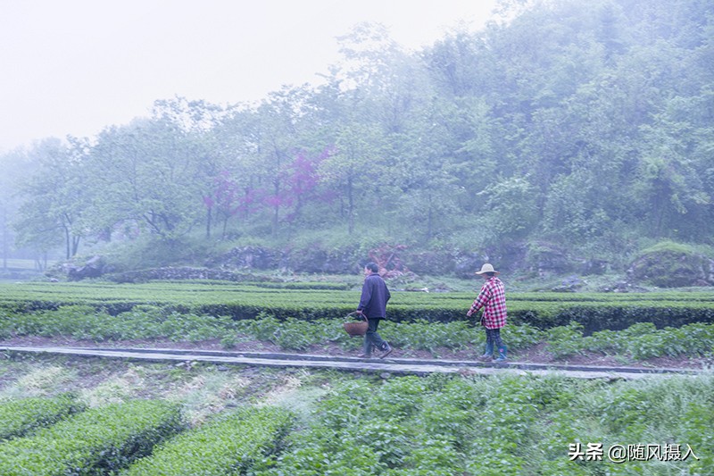 自驾旅记,自驾游柴埠溪大峡谷游记