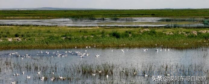 呼伦贝尔满洲里景区,呼伦贝尔旅游景点大全介绍