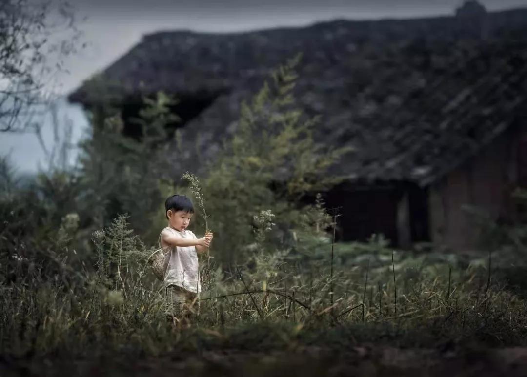 家里2个孩子总是打架怎么办,我家两个孩子天天吵架怎么办