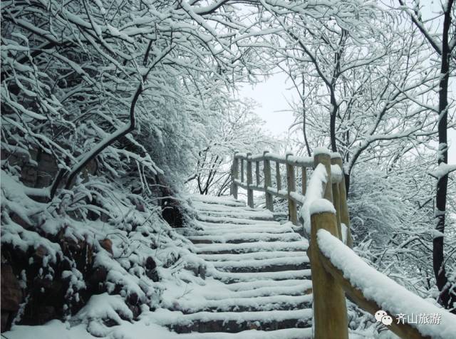淄博周末旅游攻略自由行,淄博冬季旅游攻略