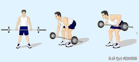 背肌倒三角训练的王牌动作,倒三角体型怎么改善背肌状态