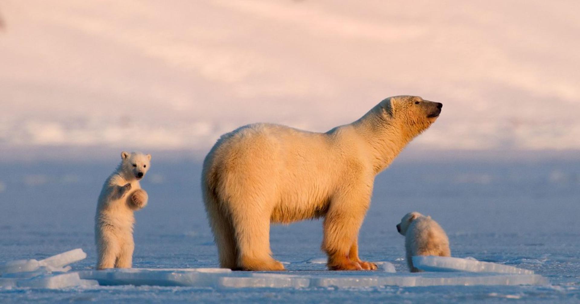 世界上100个最值得去的地方,2024年全球最值得一去的25个地方