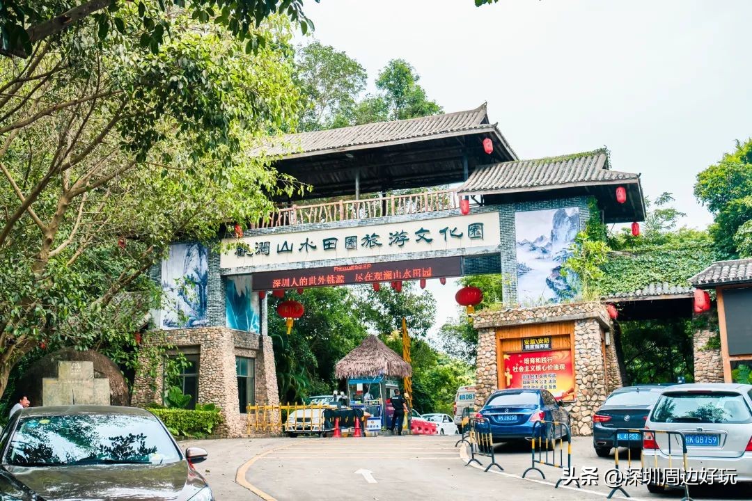 住在深圳的人,住在深圳的市民