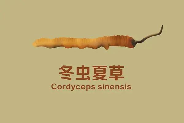 吃素可以消灭肿瘤吗,吃素能预防癌症吗