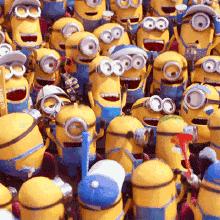 喜报！2019亳马被授予金牌赛事称号