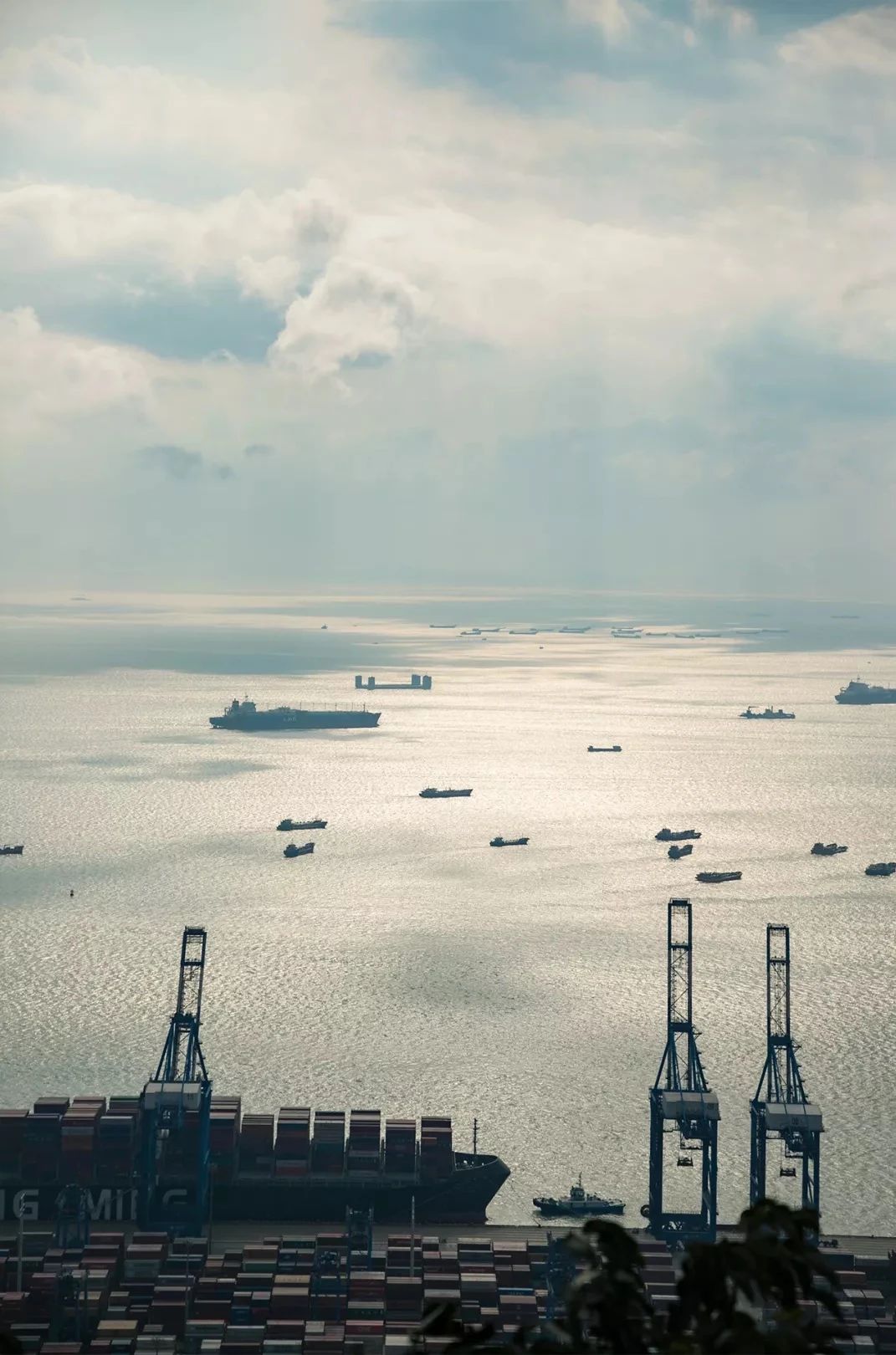 去深圳免费游玩的10个地方,深圳免费游玩景点推荐