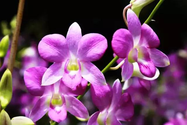 温泉季已到,这个元旦就来一场惬意的海南泡汤+逛吃之旅吧!