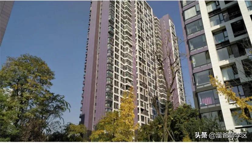 石笋街和茶店子小学怎么选,茶店子小学vs石笋街小学选哪个