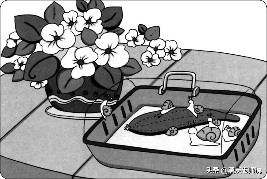 二年级期末常考看图写话与答案,二下语文分层卷第一单元看图写话