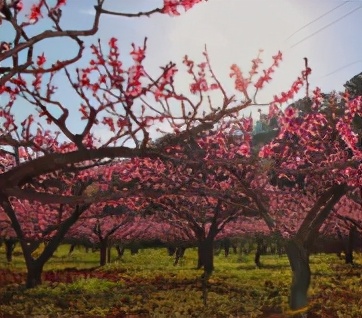 云南禄丰旅游线路攻略图,云南冬季自驾游最佳线路图