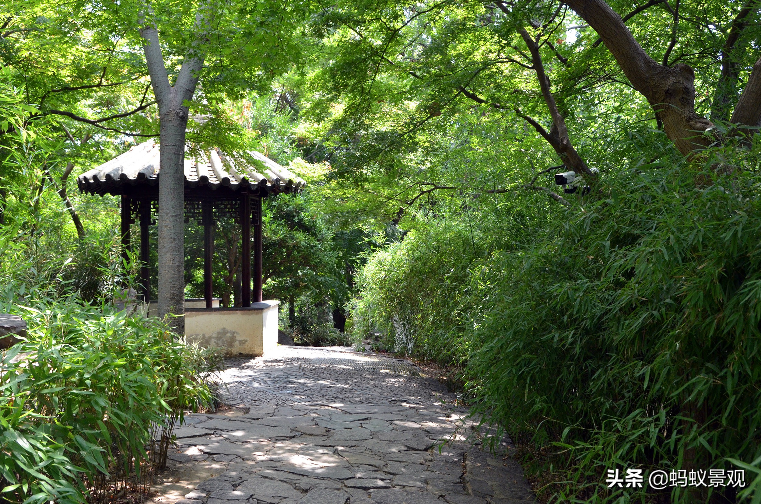 留园建筑分布图,留园建筑艺术分析