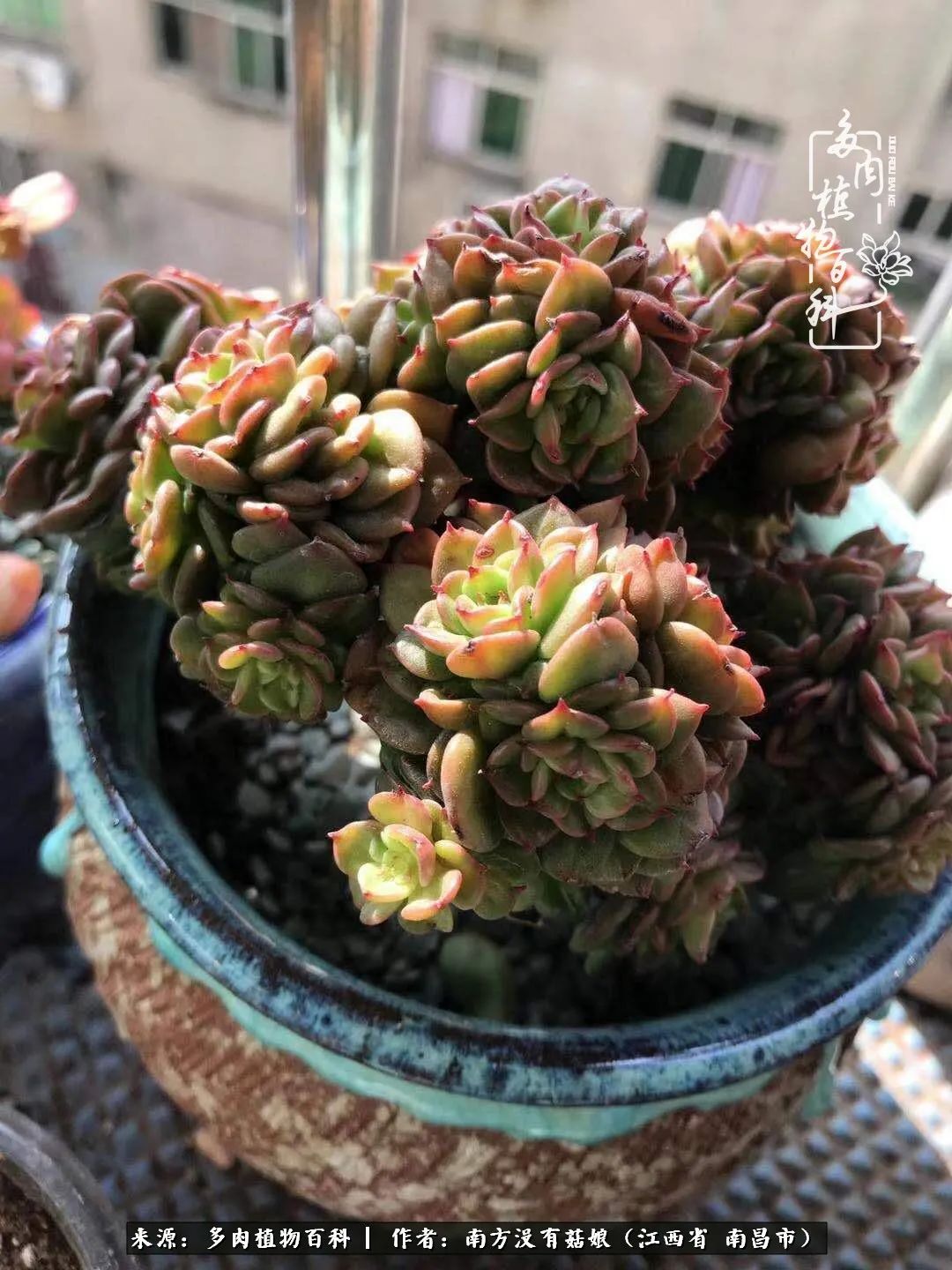 既见云胡不喜,既见君子云胡不喜毛笔楷书