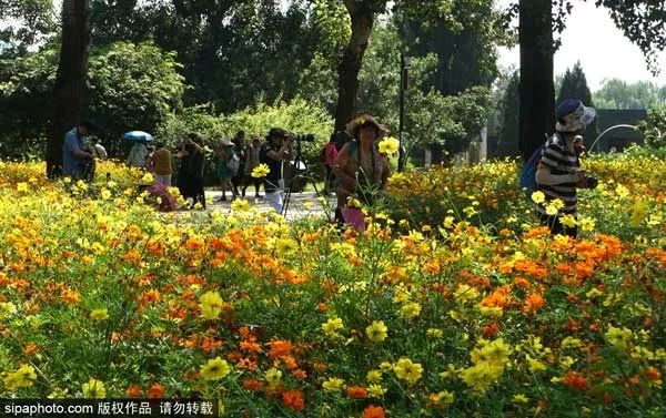 北京一类卡办理需要什么条件,北京生活办哪些卡