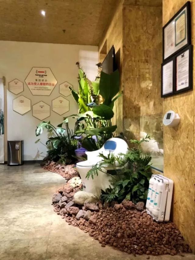 石家庄地尔水疗,2019石家庄迎来第一场雪