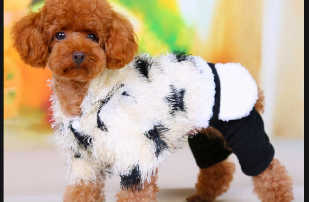 治狗狗拉稀的药,狗狗拉稀青褐色水