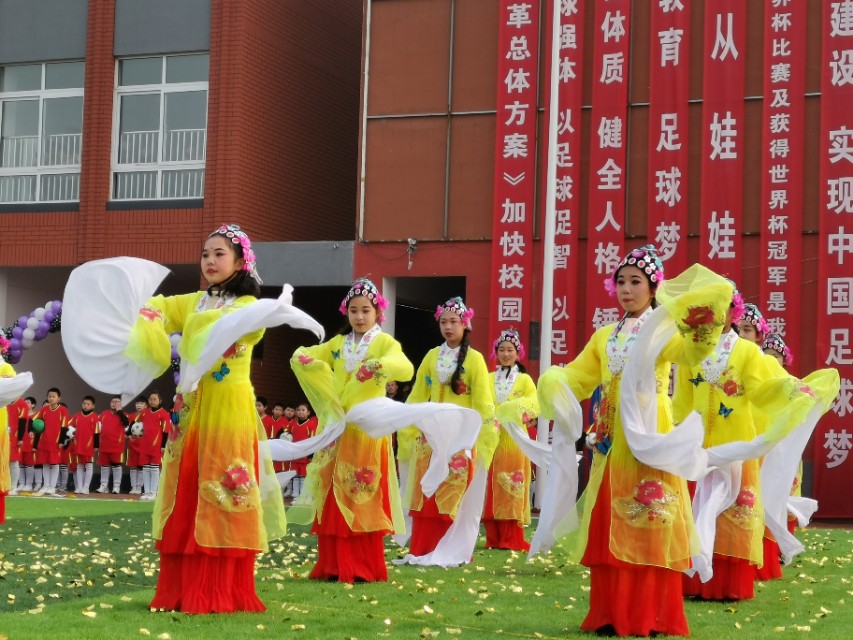 校园足球杯圆满落幕,华奥杯校园足球联赛