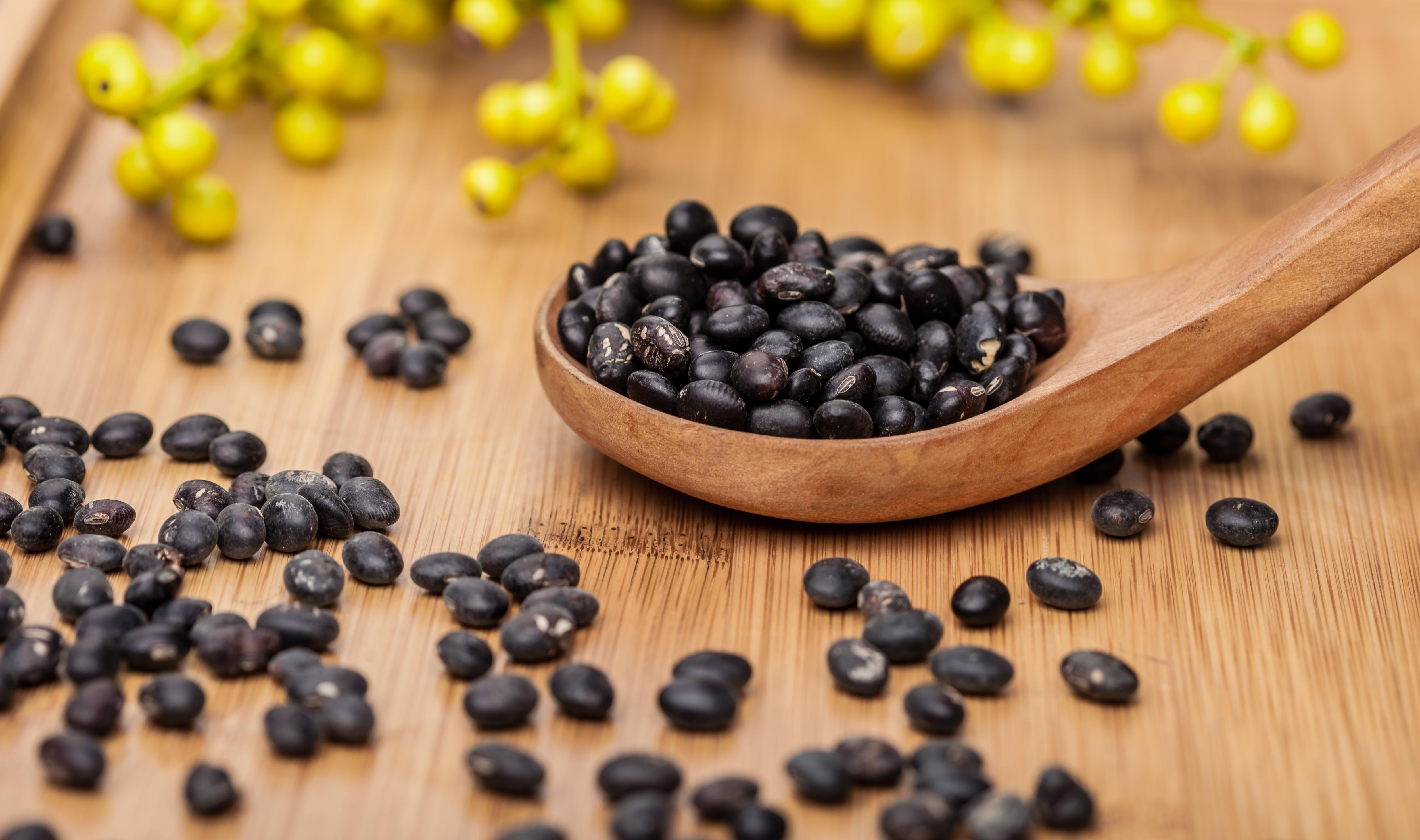 狗狗腿软蹦不上床怎么回事,狗狗腿软突然不能走路